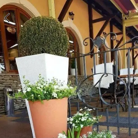 U Pietrzakow Zielonka (Wolomin)