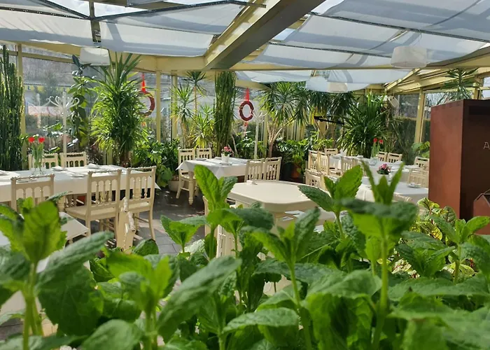 U Pietrzakow Zielonka (Wolomin)